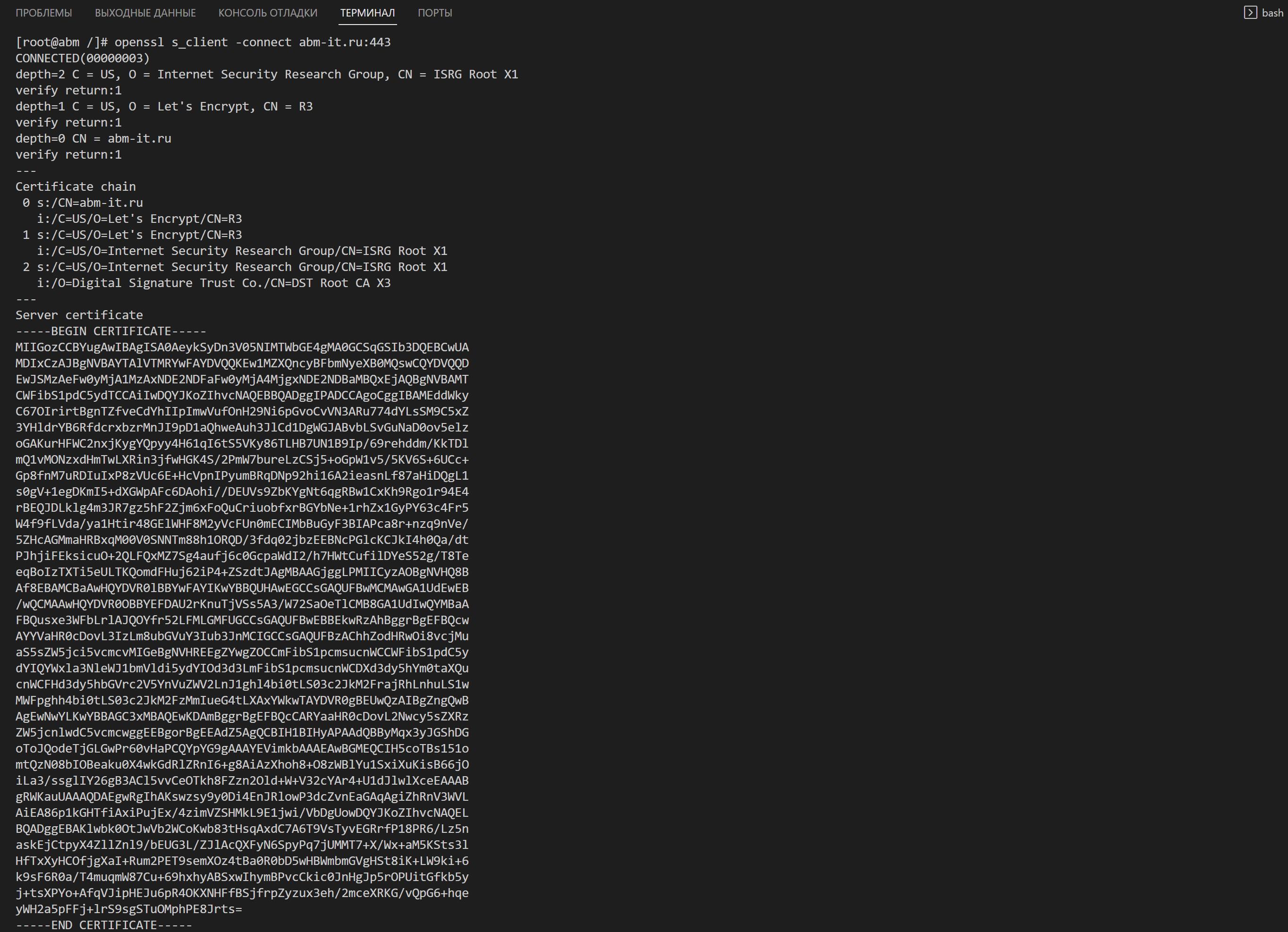 Проверка SSL[SSH] - Visual Studio Code.jpg